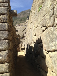 Help! I'm lost in Machu Picchu and I can't find my llamas.
